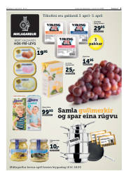 Síða 3