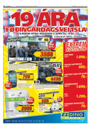 Síða 12