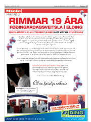 Síða 13