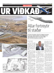Síða 17