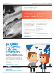 Síða 5