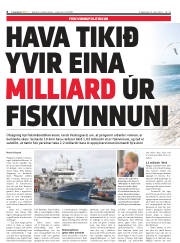 Síða 6
