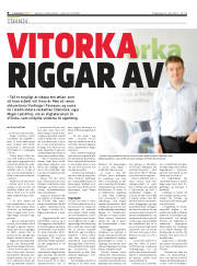 Síða 8