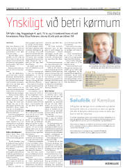 Síða 17
