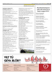 Síða 25