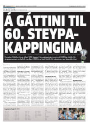Síða 28