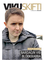 Síða 33
