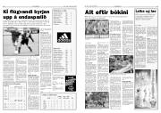 Síða 8