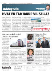 Síða 2