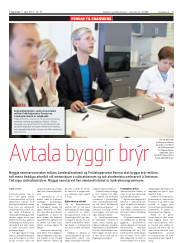 Síða 7