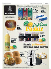 Síða 3