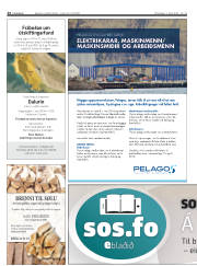 Síða 24