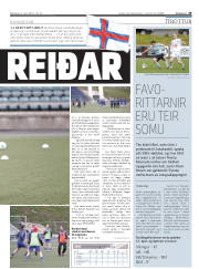Síða 29