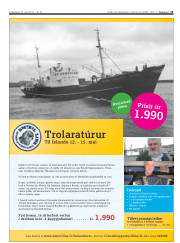 Síða 13