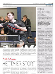 Síða 15