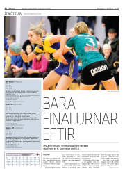 Síða 20