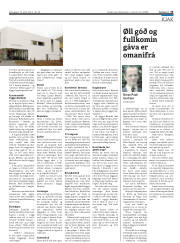 Síða 25