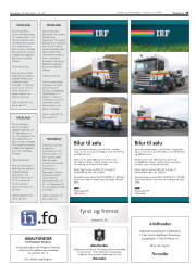 Síða 29