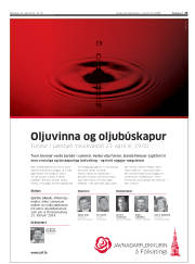 Síða 23