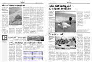 Síða 5