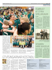 Síða 17
