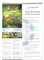 Síða 29
