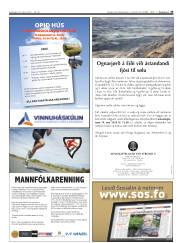 Síða 33