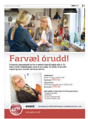 Síða 43