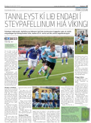 Síða 15