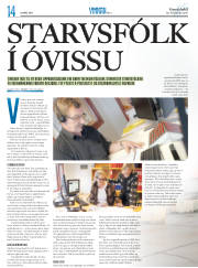 Síða 38