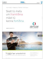 Síða 41