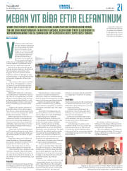 Síða 45