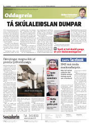 Síða 2