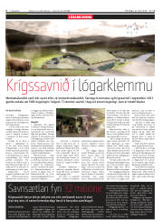 Síða 6