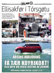 Síða 22