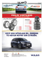 Síða 27