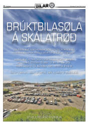 Síða 30