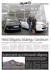 Síða 32