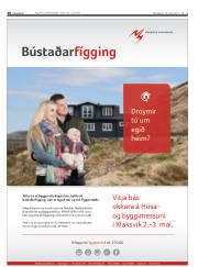 Síða 40