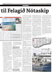 Síða 13