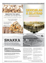Síða 17