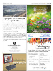 Síða 25