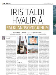 Síða 44