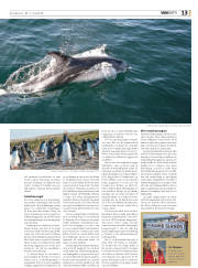 Síða 45