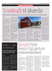 Síða 4