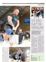 Síða 15