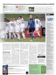 Síða 17
