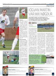 Síða 21