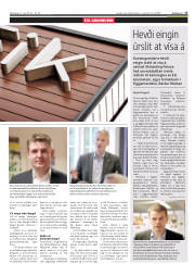 Síða 17