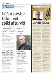Síða 30